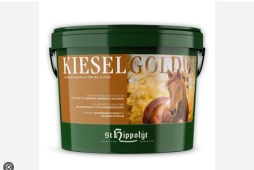 Hippolyt kieselgold neu - hippolyt, 10