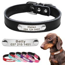 Hundehalsband mit Namen Leder