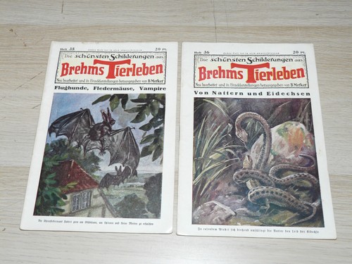 Die schönsten schilderungen - die,