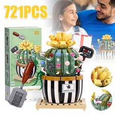 Mini Bulbus Kaktus Bonsai