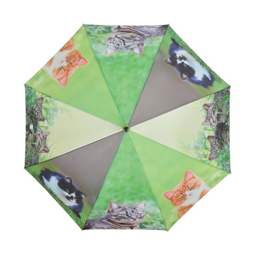 Wunderschöner regenschirm mit - wunderschöner,
