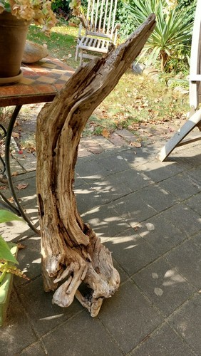Treibholz schwemmholz 94 - schwemmholz,