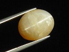 Opal Katzenauge 16,88 Ct