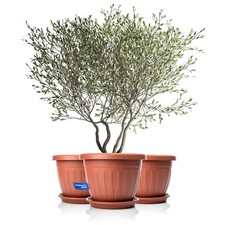 3x Blumentopf Balkonkasten