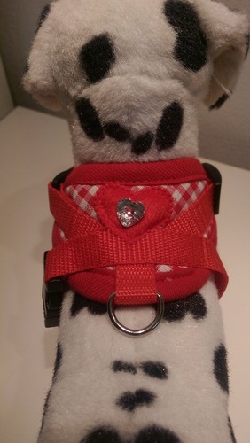 Hundegeschirr - , xs
