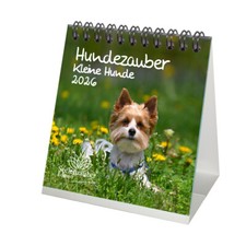 Hundezauber Kleine Hunde Tischkalender 10cm x 10cm für 2026 Welpen und kleine Hu