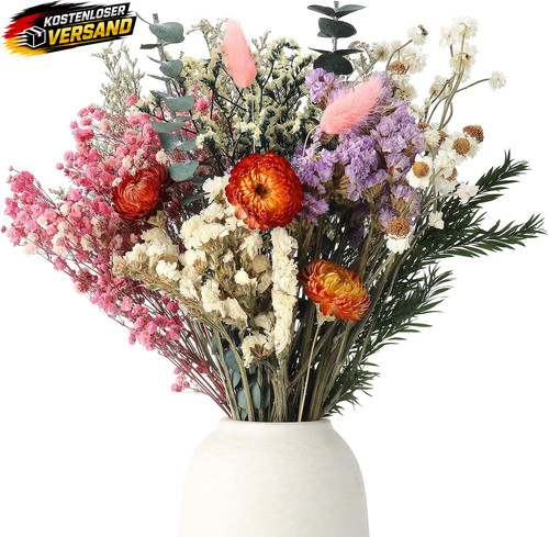 Trockenblumen set stück - trockenblumen,