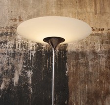 Florian Schulz Taos 55