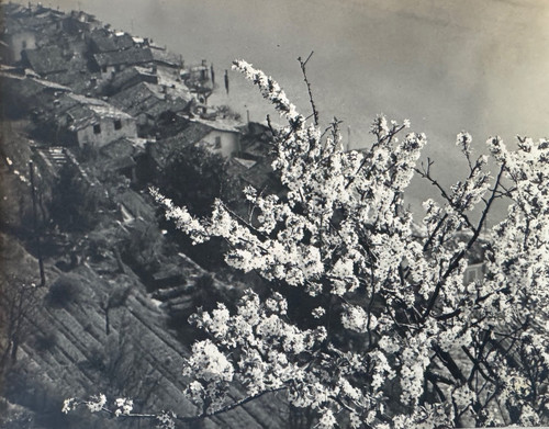Vintage fotografie gandria - fotografie,