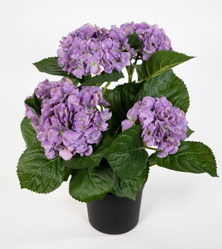 Hortensienbusch deluxe 42cm - hortensienbusch,