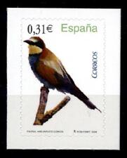 Vögel. Bienenfresser. 1W. Spanien 2008