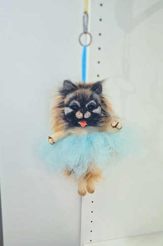 Anhänger hund pomeranian tier - hund,