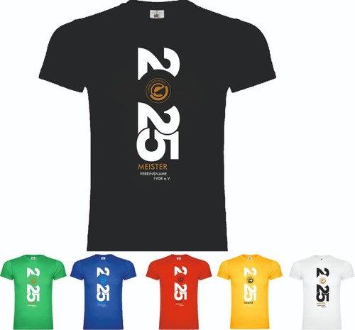 Meistershirt aufsteiger - meistershirt,