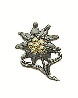 Edelweiss mützenabzeichen - bw,