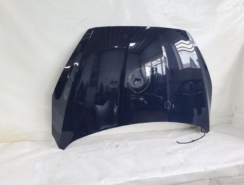 Motorhaube ford focus - ford,