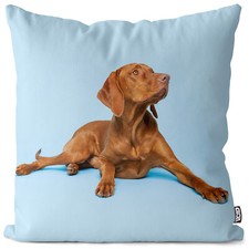 Ungarischer vorstehhund - ungarischer,