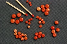 15 Stk echte Mittelmeer