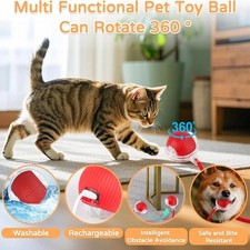 Katzenball Elektrisch |