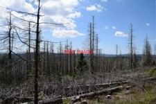 FOTO DER BROCKEN BLICK VON