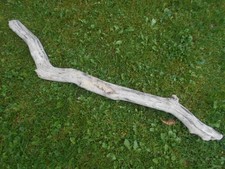 Skulptur Schwemmholz Treibholz Tier Reptil  Schlange Terrarium  Deko ca. 88 cm