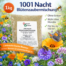 1 kg niedrige Blumenwiese 1001