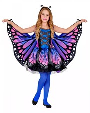 Violettes schmetterlings - violettes,