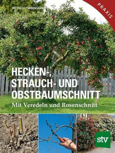 Hecken strauch und - hecken-,, strauch-