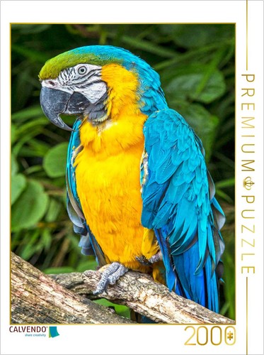 Calvendo puzzle farbenfrohe - puzzle,