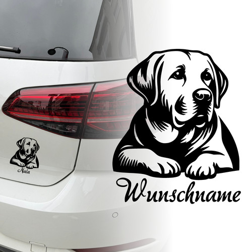 Labrador retriever auto - retriever,