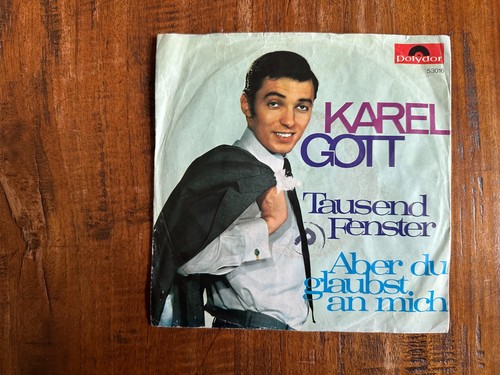 Karel gott tausend fenster - karel,