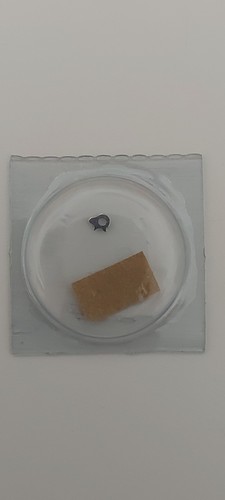 Rolex 4130 300 - rolex, 4130-300