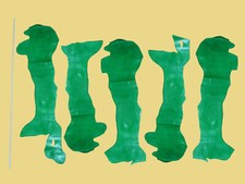 Leder, grün, Rinderflanken