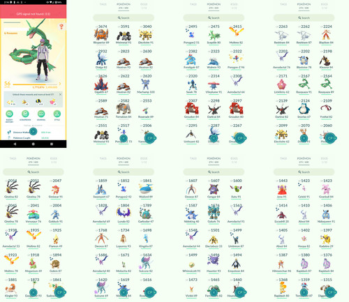 Pokémon acc lvl56 30 - pokémon,