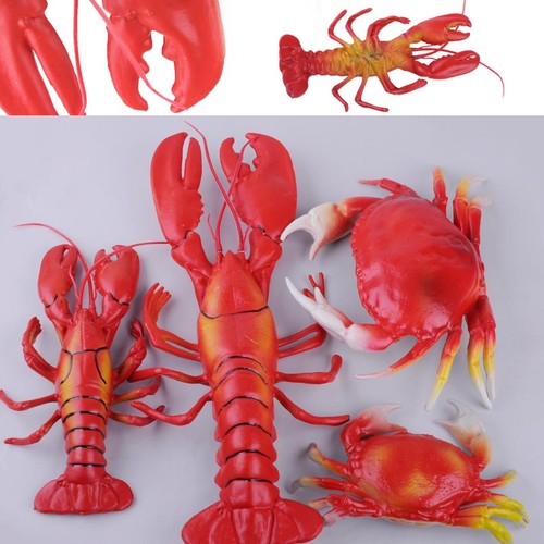 Simulation krabbe fish - krabbe,