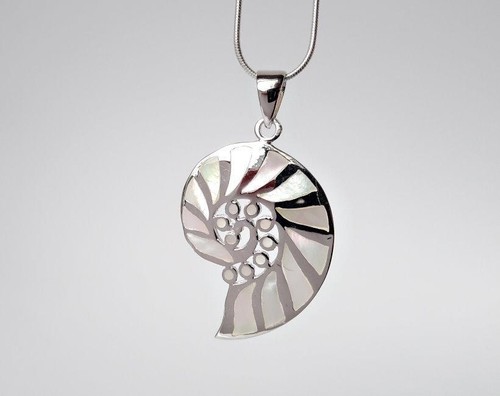 Muschel spirale anhänger - muschel,