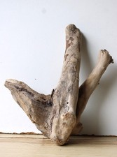 Treibholz Schwemmholz