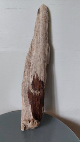 Treibholz schwemmholz - 45, cm
