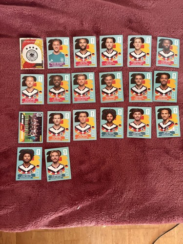 Panini 2026 sticker - panini,