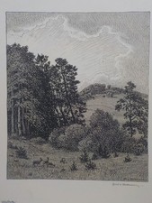 HANS RICHARD von VOLKMANN - Waldecke ll. Lithographie signiert, um 1900