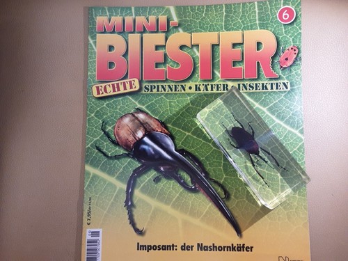 Mini biest nashornkäfer - mini,