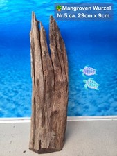 🌴 Mangroven Aquarium🗿