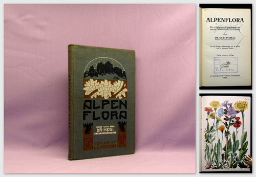 Hegi alpenflora die - hegi,