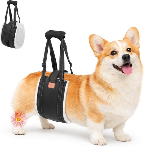 Hunde tragehilfe mit - l,