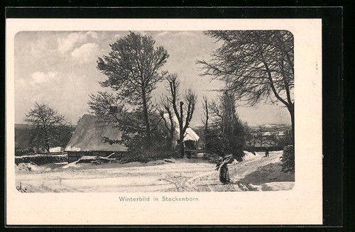 Steckenborn winterliche - steckenborn,,