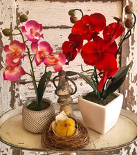 Künstliche Orchideen wie echt