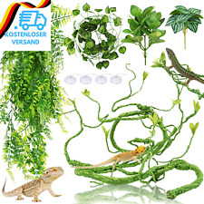 Hängepflanze Terrarium