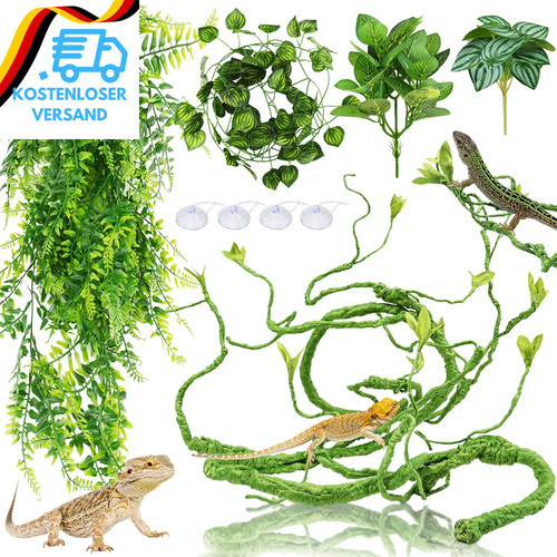 Hängepflanze terrarium - hängepflanze,
