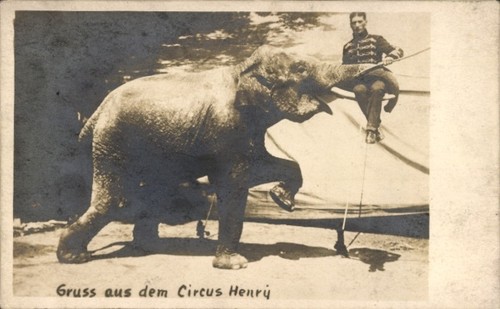 Foto circus henry - foto, ak