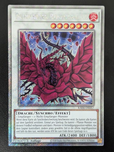 Schwarzer rosendrache - schwarzer,