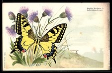 Lithographie Schmetterling